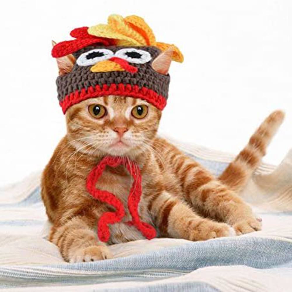 Meet your Posher, Dy